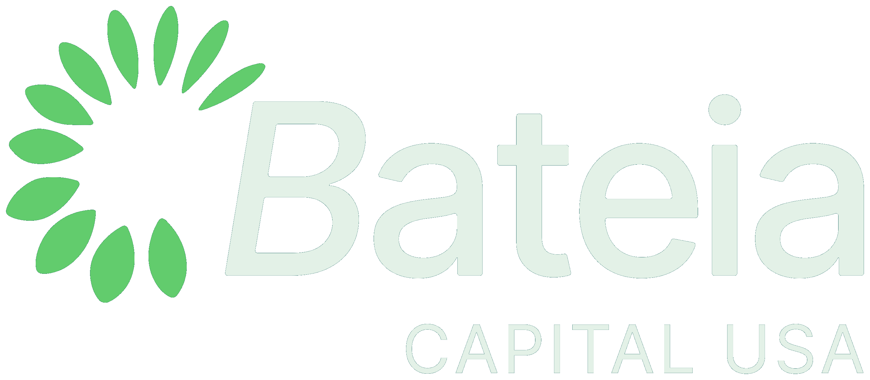 Bateia Capital
